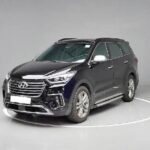 2019 Hyundai Maxcruz Service and Repair Manual